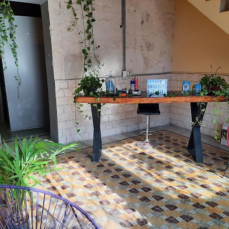 La Parota Otel Mérida Dış mekan fotoğraf